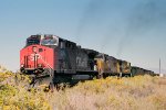 Southern Pacific AC44CW #254 easing a westbound loaded coal train to the east end of the siding 